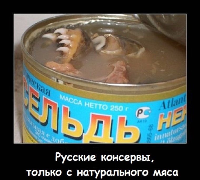 Сельдь прикол