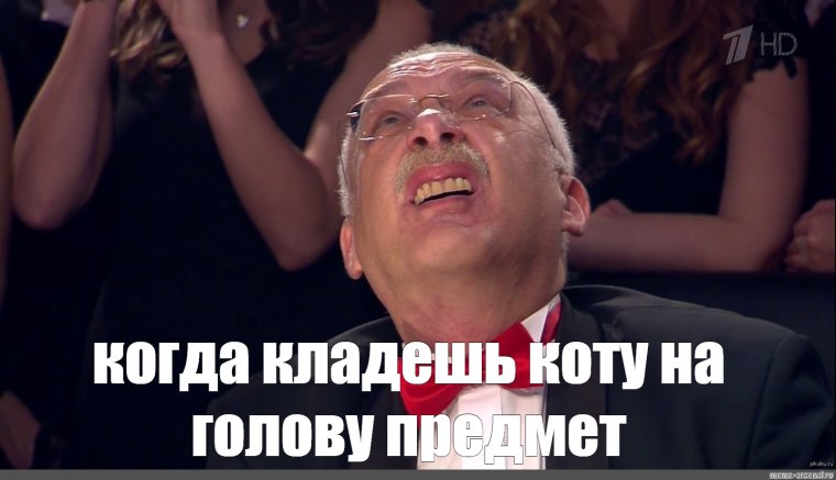 Отвечает Друзь Мем