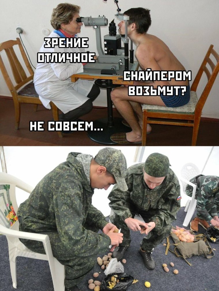 Новейшие мемы