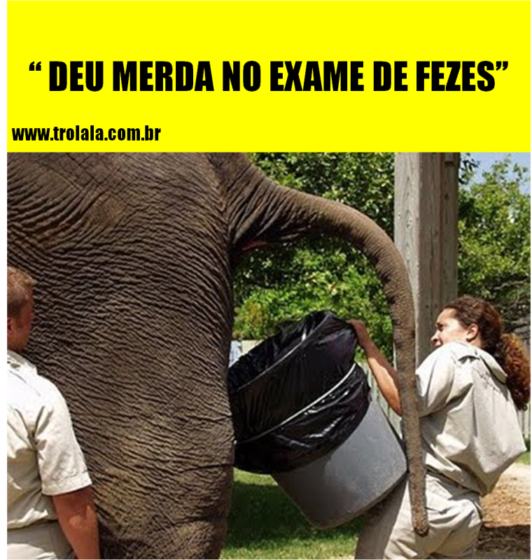 Убойные приколы