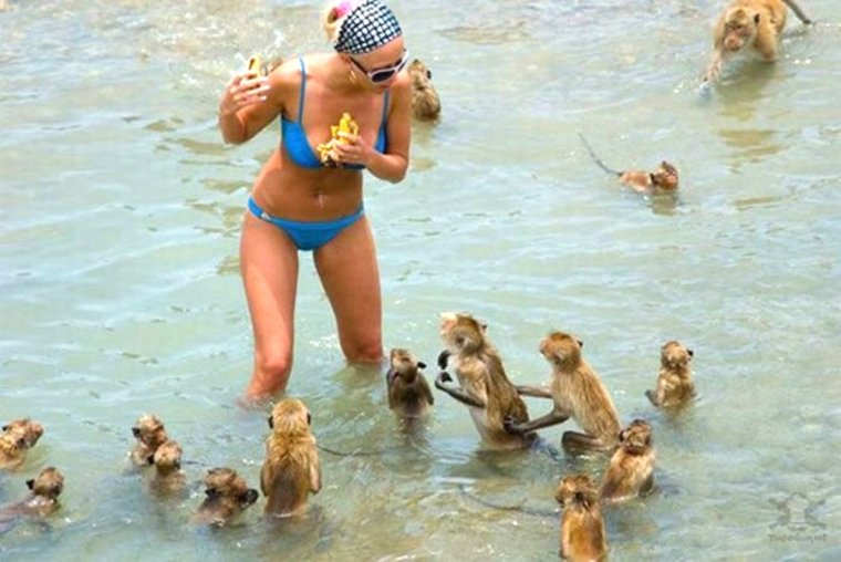 Смешные люди на пляже