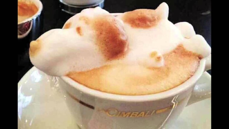 Объемный латте-арт Казуки Ямамото