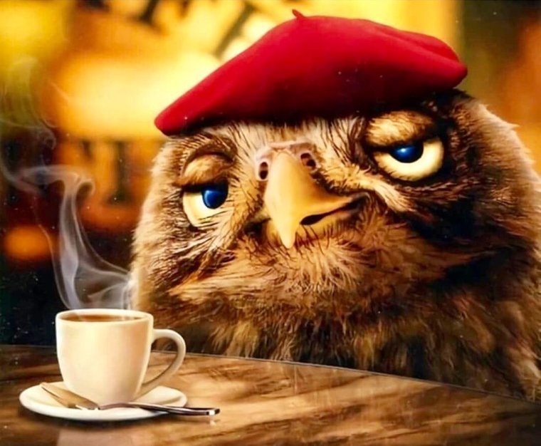 Сонная Сова с кофе