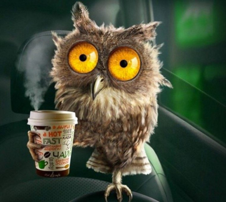 Смешные картинки с добрым утром