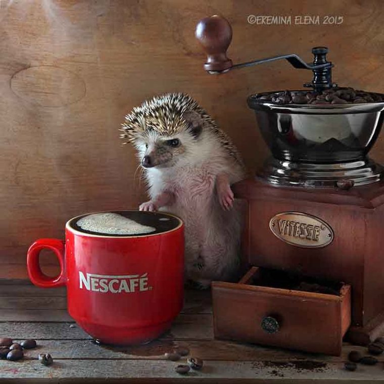 Ежики доброе утро Елена Еремина