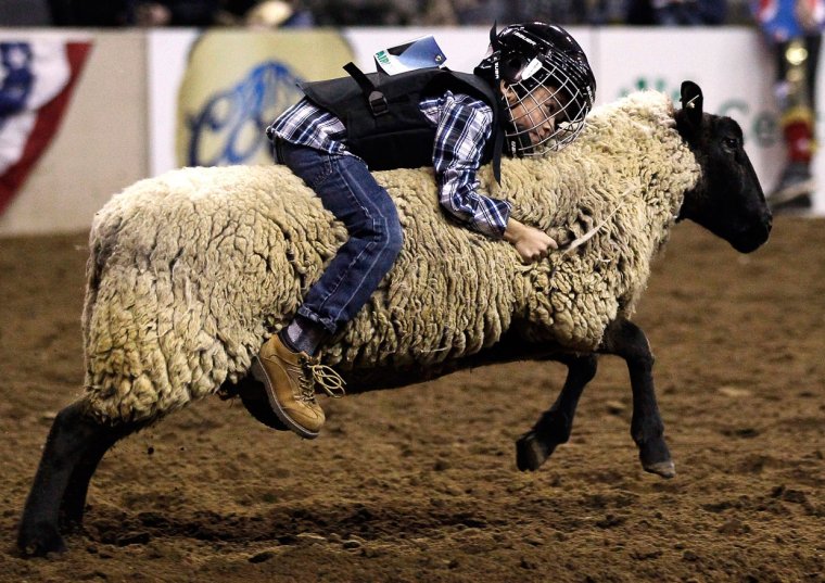 Ковбой Хэнк