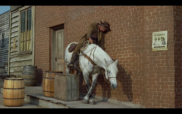 Ковбой на лошади прикол