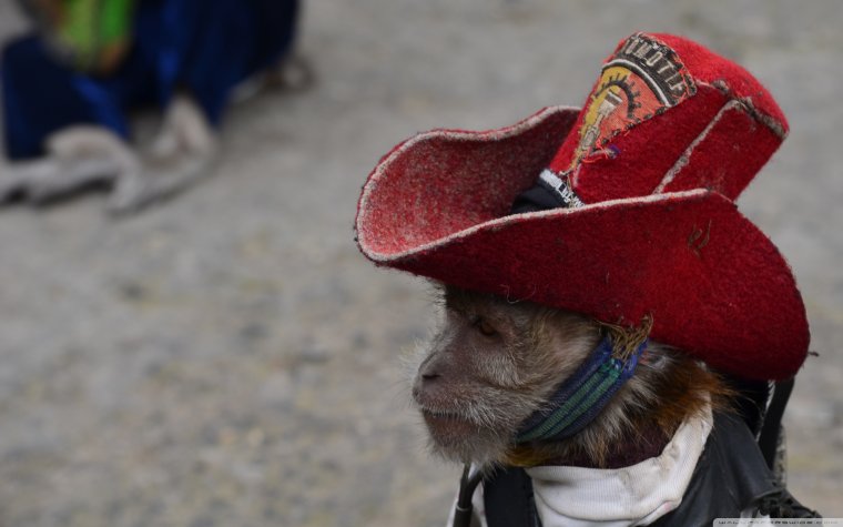 Фотосессия ковбойская для малыша