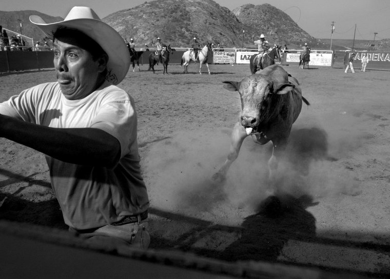 Верхом на Баране