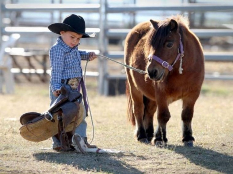 Кокаиновые Ковбои сериал