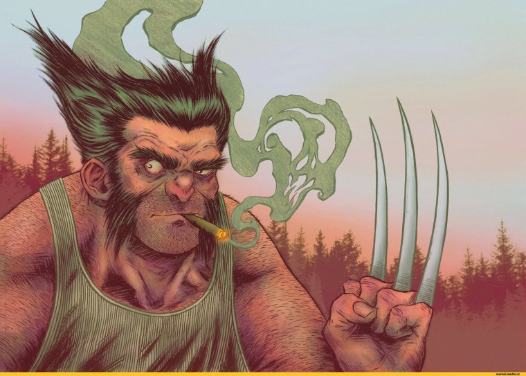 Росомаха Логан Мем