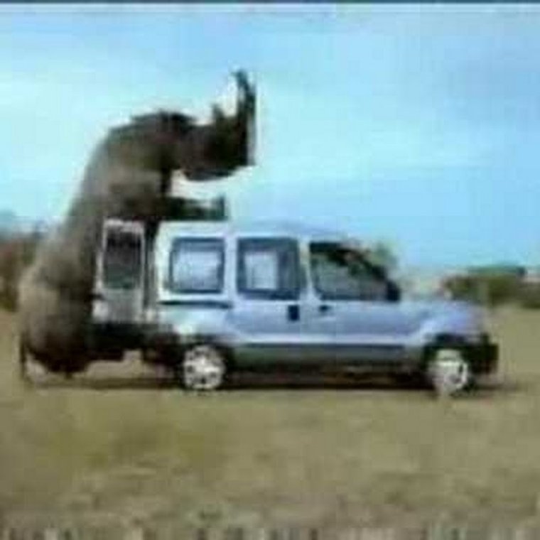 Машина носорог