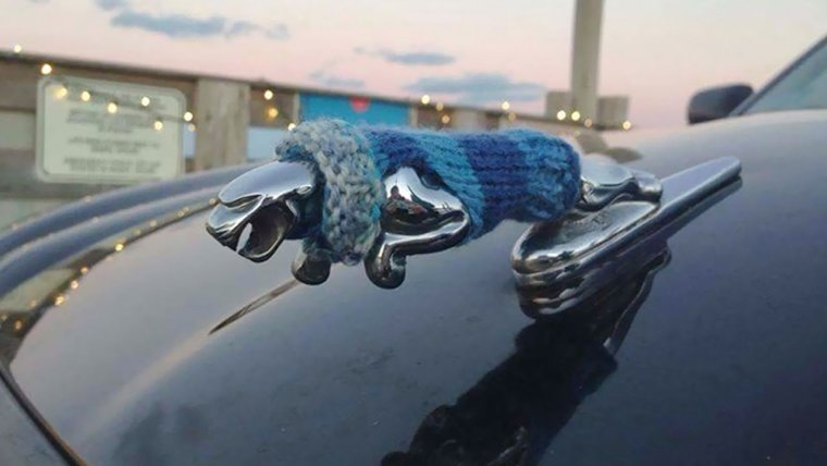 Ягуар авто прикол