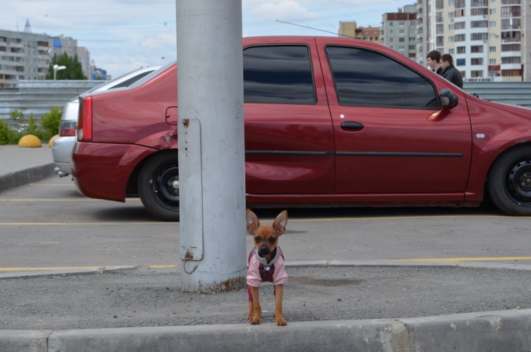 Рено Логан 1 БПАН