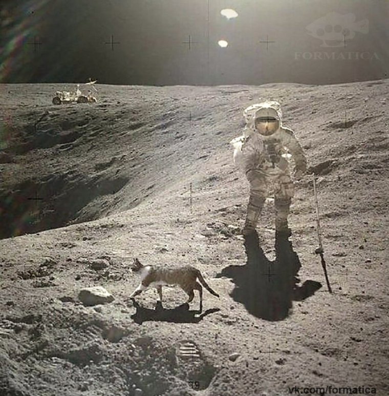 Астронавты на Луне gif