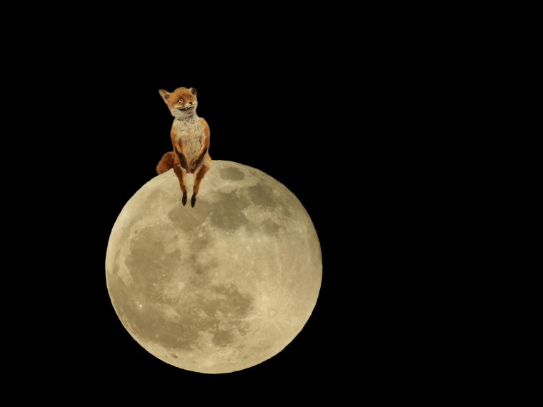 Русские на Луне демотиватор