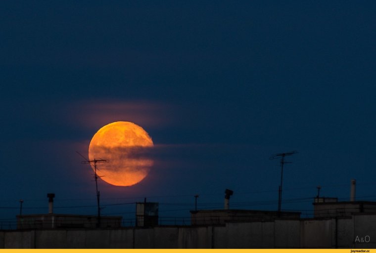 Проект личная Луна