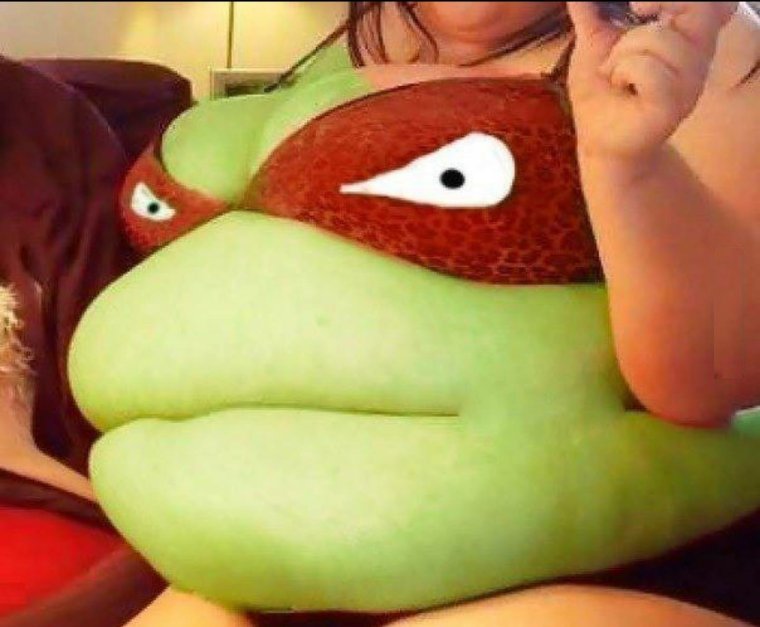 Жирные Черепашки ниндзя