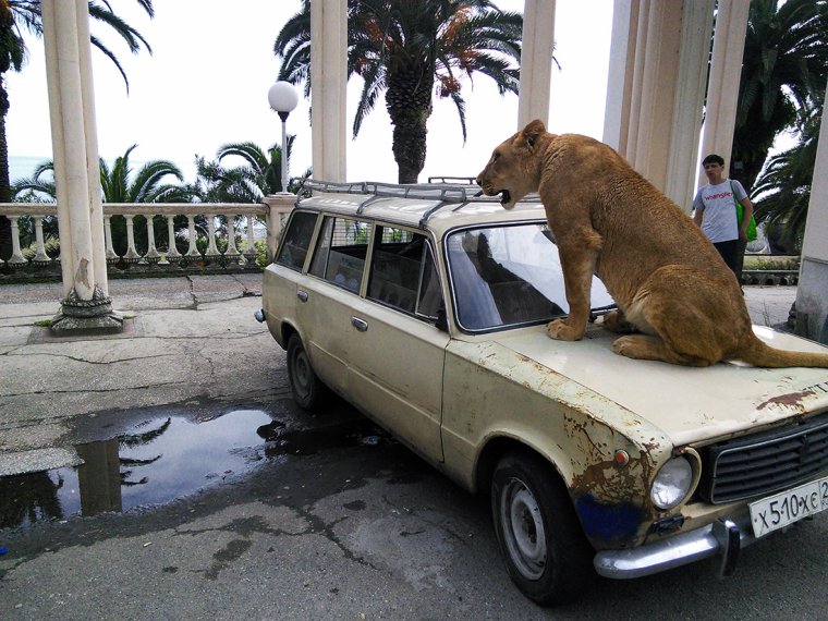 Абхазское вино Гагра