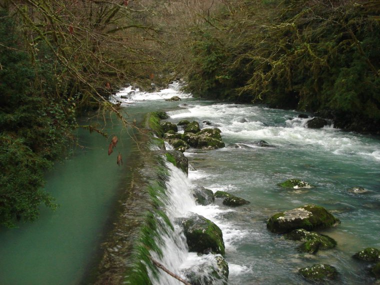 Абхазия зимой