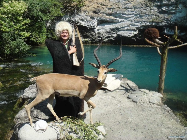 Приколы про Абхазию