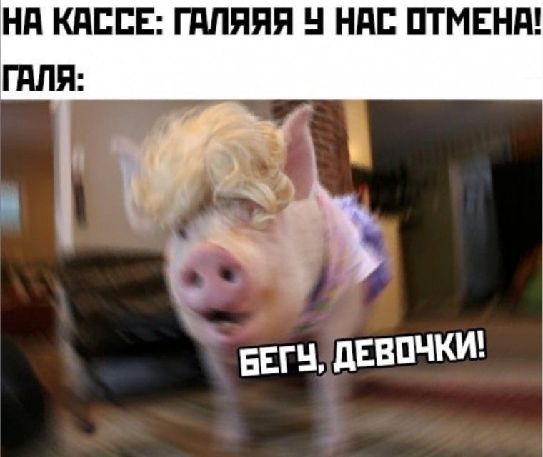 Мем Галя кассир