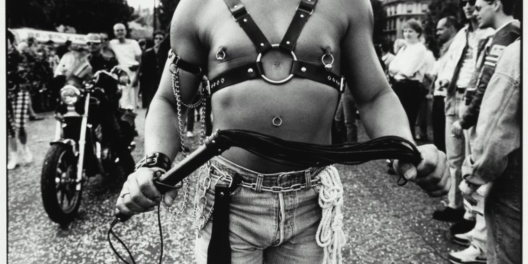 Феминистки твари