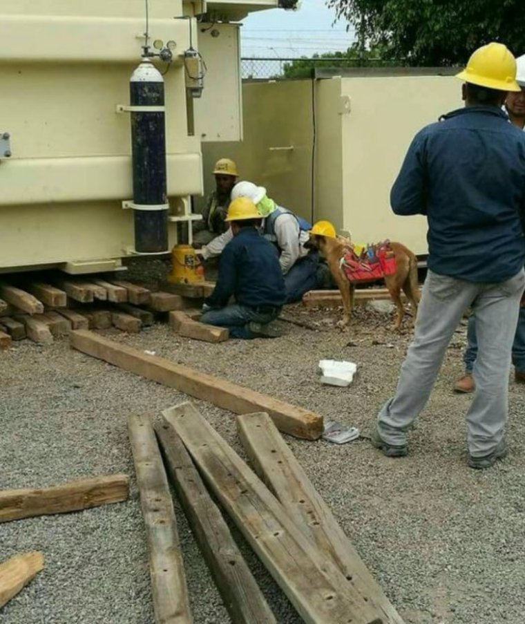 Строительные приколы