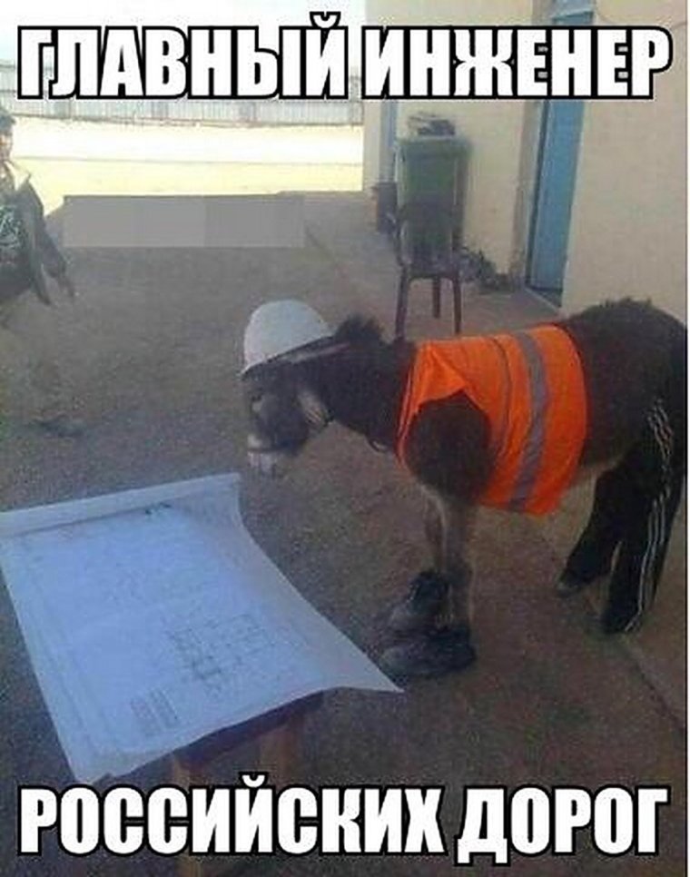 Осел на стройке