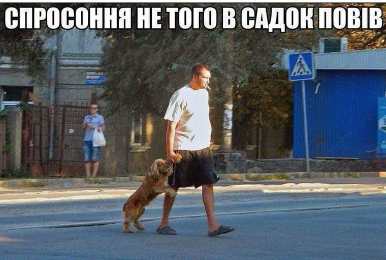 Дамир Баутдинов