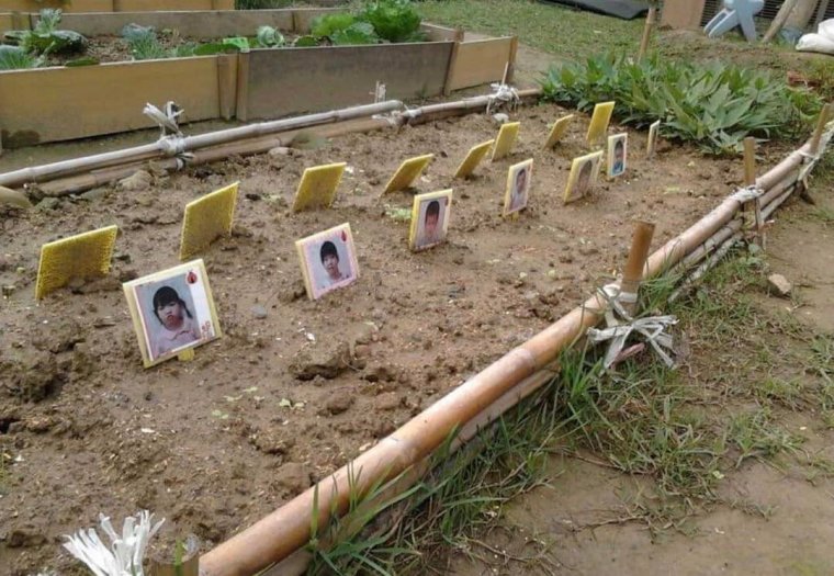 Грядки могилки