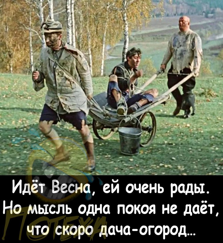 Пес Барбос и необычный кросс фильм 1961