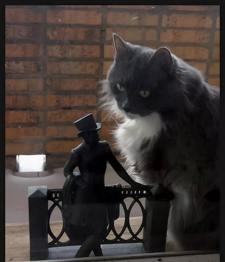 Черный кот Пушкин