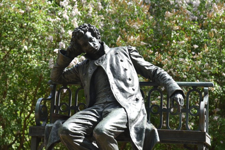 Пушкин редкое