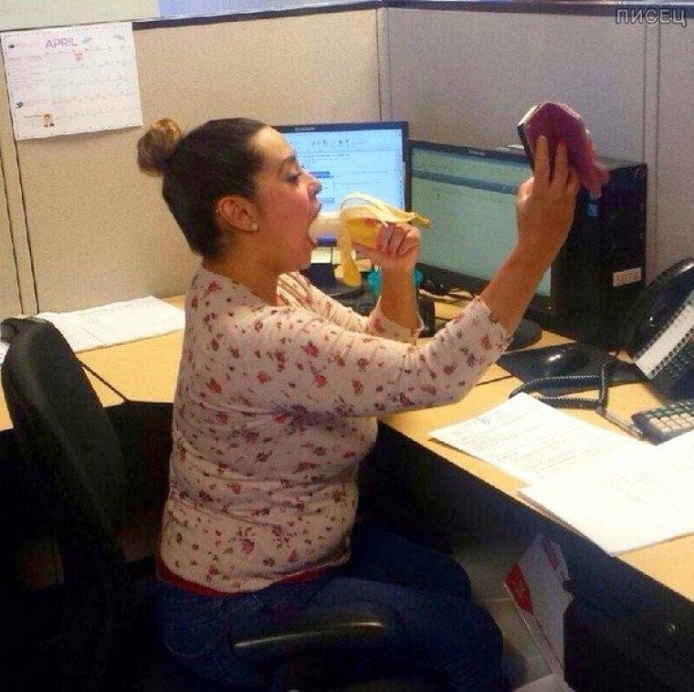 Офисный планктон фото