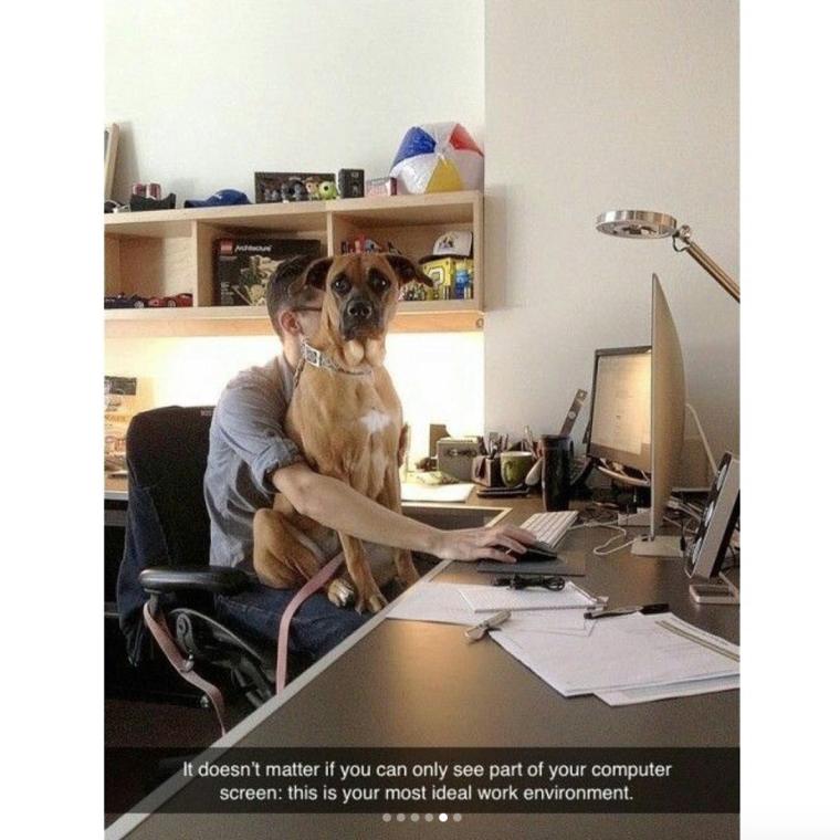 Счастливые люди в офисе