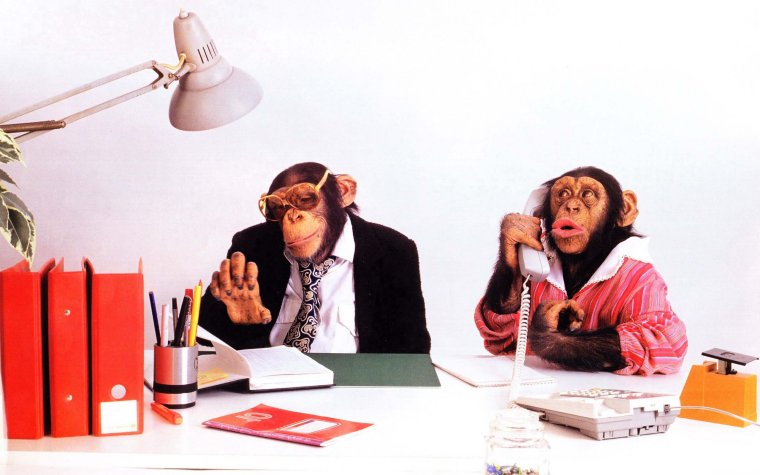 Прикольное рабочее место