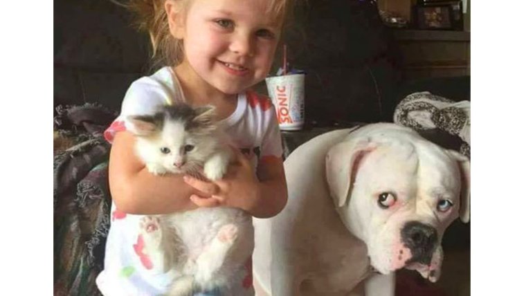 Собака ревнует