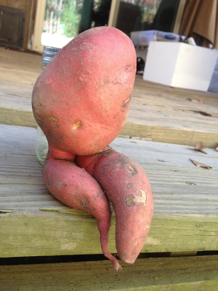 Картошка прикол