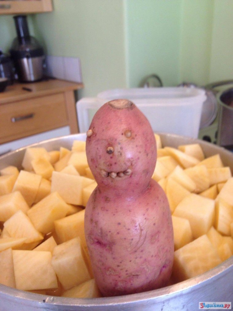 Смешная картошка