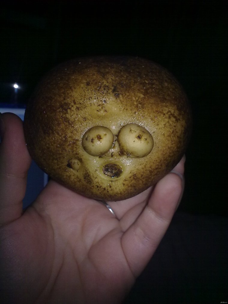 Картофель прикол