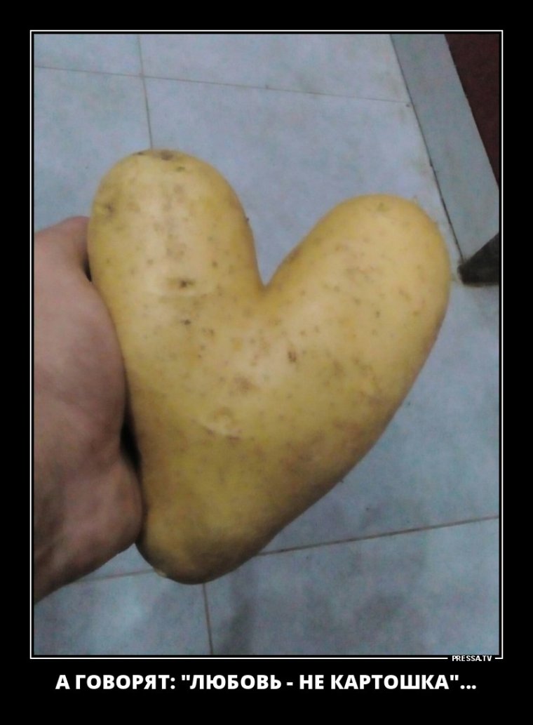 Босс картошка