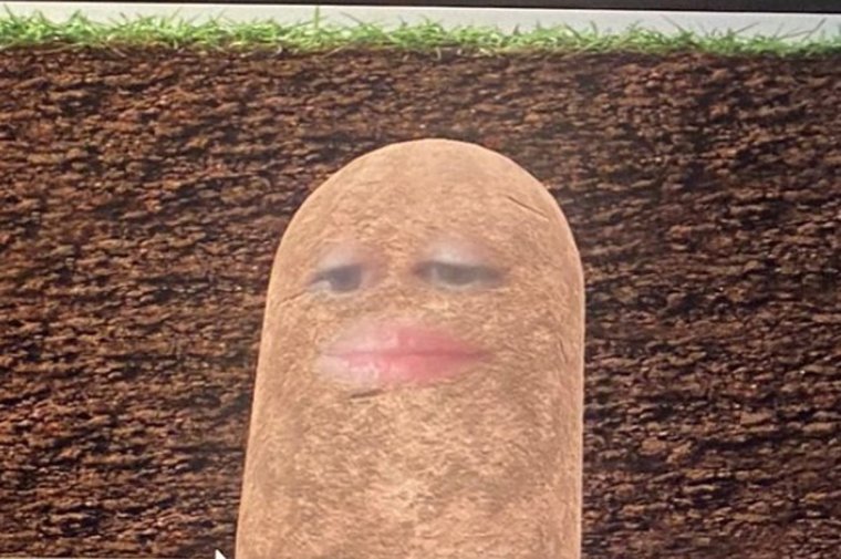 Девушка плавает в картошке Беларусь