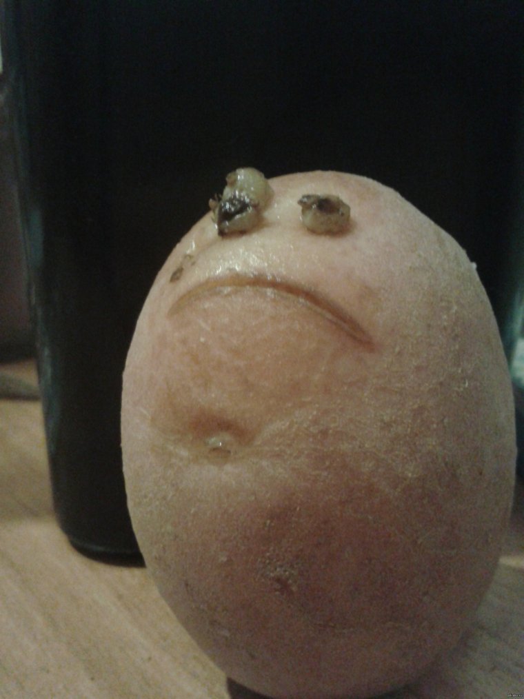 Смешная картошка