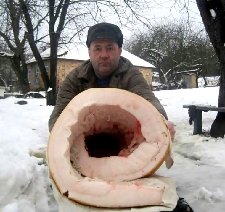 Самый большой кусок сала
