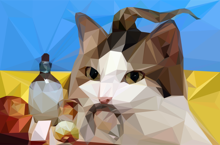 Книжка из сала