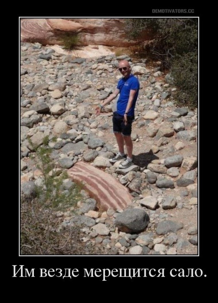 Огромный кусок сала