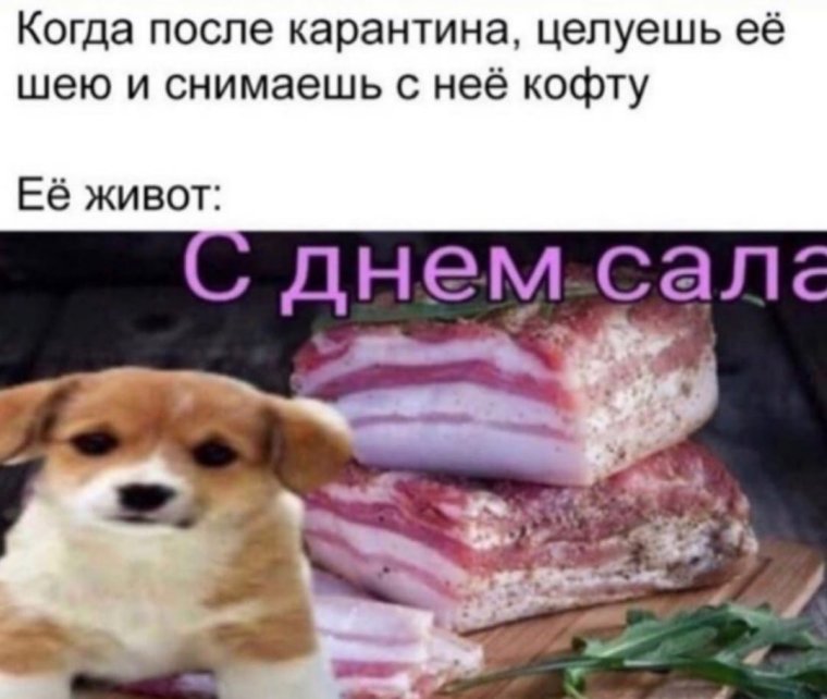 Приколы про еду и алкоголь