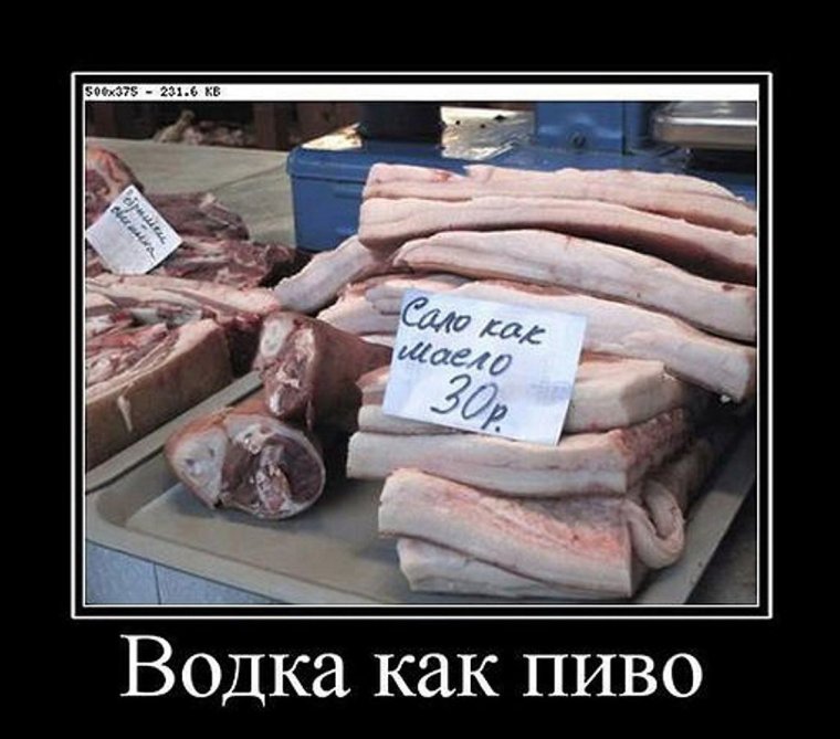 Смешные картинки про сало