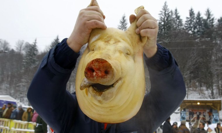 Фото сало прикольные